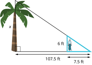 An illustration of a palm tree and a stick figure person shows a right triangle. The vertical leg shows a tree. The hypotenuse is unknown. The horizontal leg measures 107.5 feet. A boy who is 6 feet tall is standing 100 feet away from the base of the tree. The boy casts a shadow of 7.5 feet.