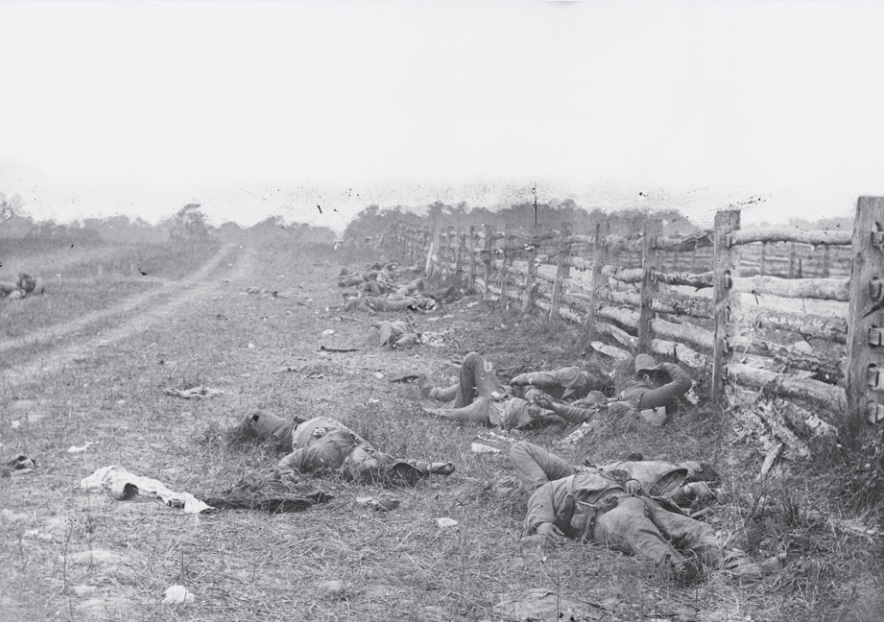Photo of dead soldiers laying in field between fence and road.