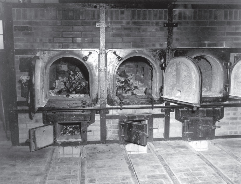 Black and white photo of crematorium showing doors open to remains (bones) in furnaces.