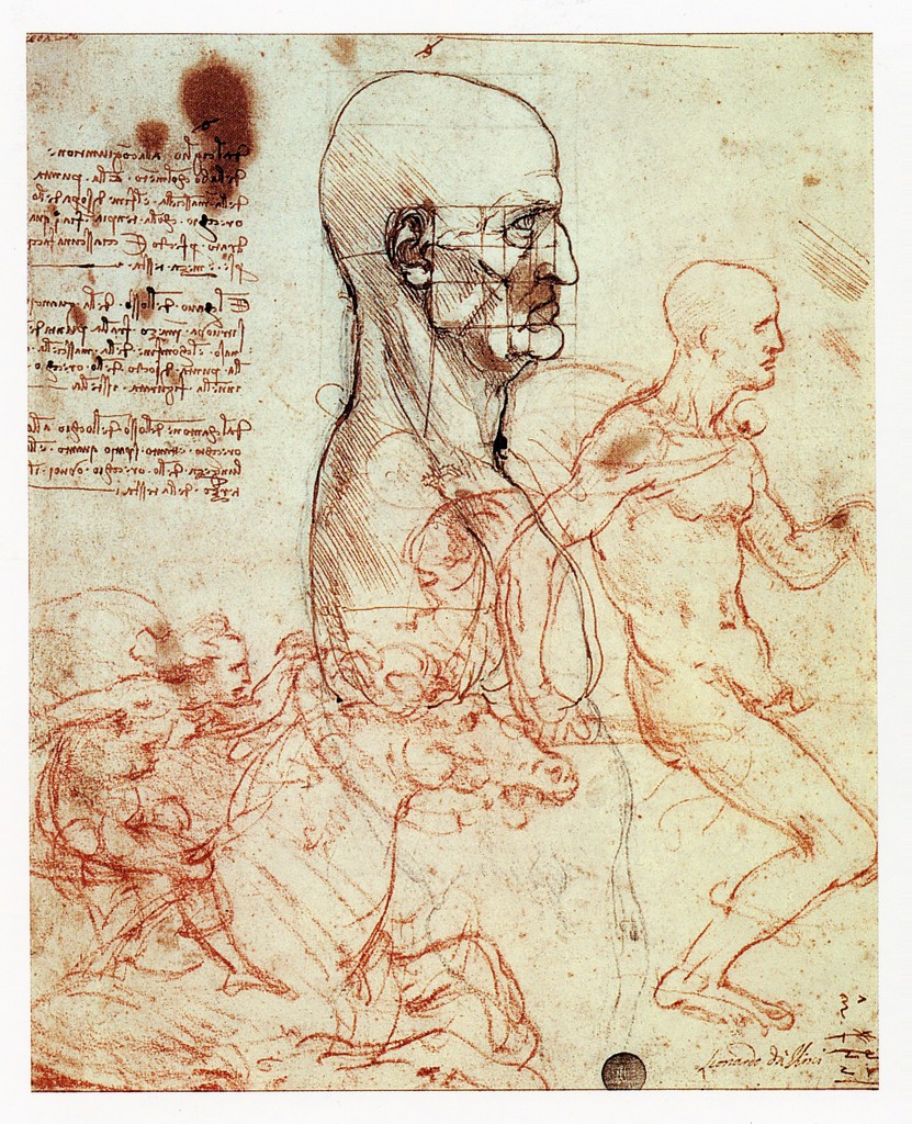 Image of Torso of a Man in profile, the head squared for proportion; sketches of two horsemen by Leonardo da Vinci. Sketch of the profile of a man with a sketch of two horsemen in the lower left corner. Pen and brown ink over metalpoint on paper.