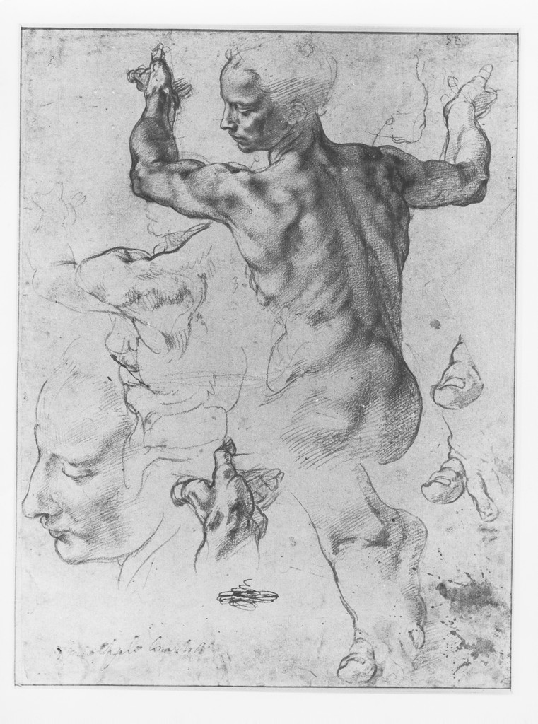 Image of Studies for the Libyan Sibyl by Michelangelo. Study of the overall body and close up of the face, details of the hand and fingers. Red Chalk.