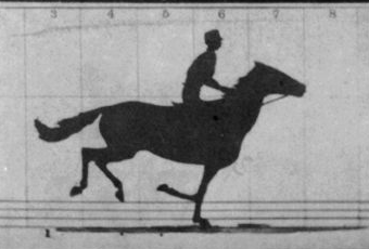 Image of Galloping horse, animated in 2006 using photos by Eadweard Muybridge.