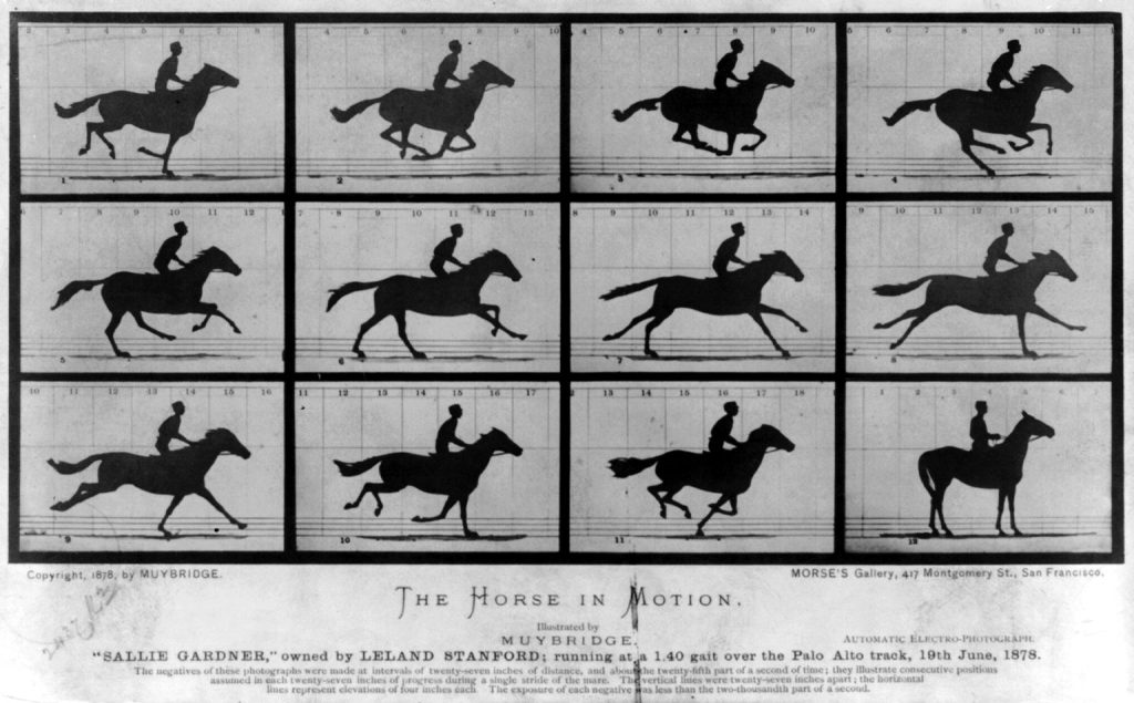 Image of Thoroughbred bay mare 'Annie G.' galloping by Eadweard Muybridge. Locomotion of a horse galloping.
