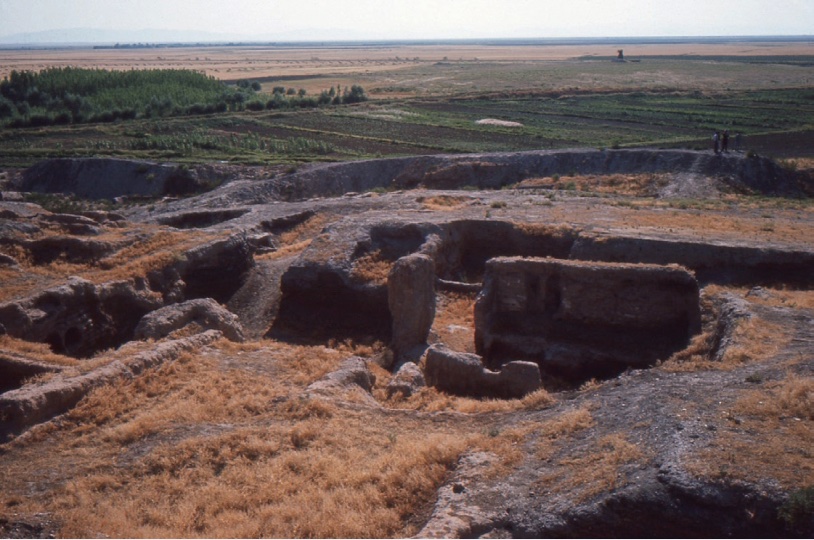 Photo of communal living structures that have been excavated.