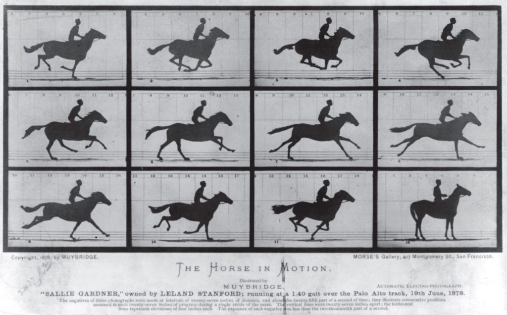 Illustration of a series of frames showing a horse in motion with rider.