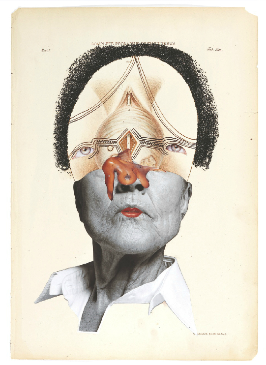 Collage of a woman's face superimposed with images of a woman's anatomy.