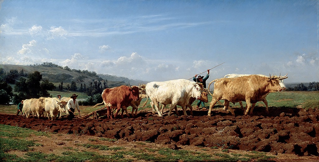 Image of Plowing in Nivernais by Rosa Bonheur. Shown are a few cattle plowing the land with farmers next to them.