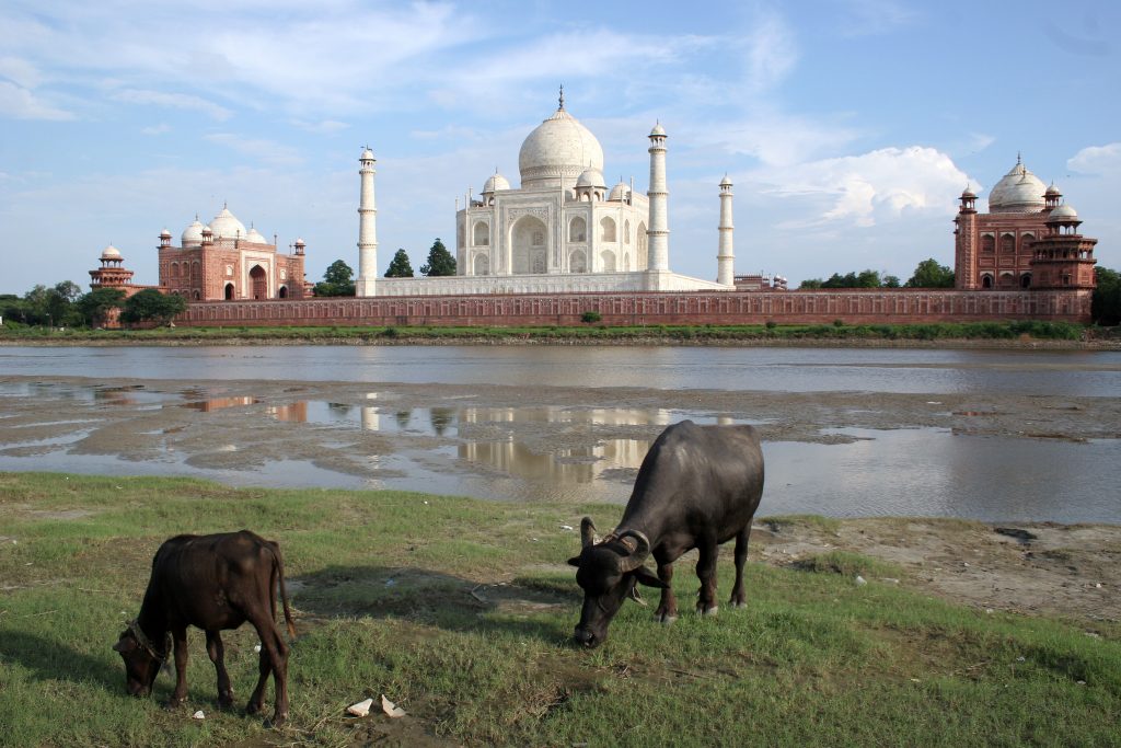 Photo of the exterior of the Taj Majal with a river in front of it.