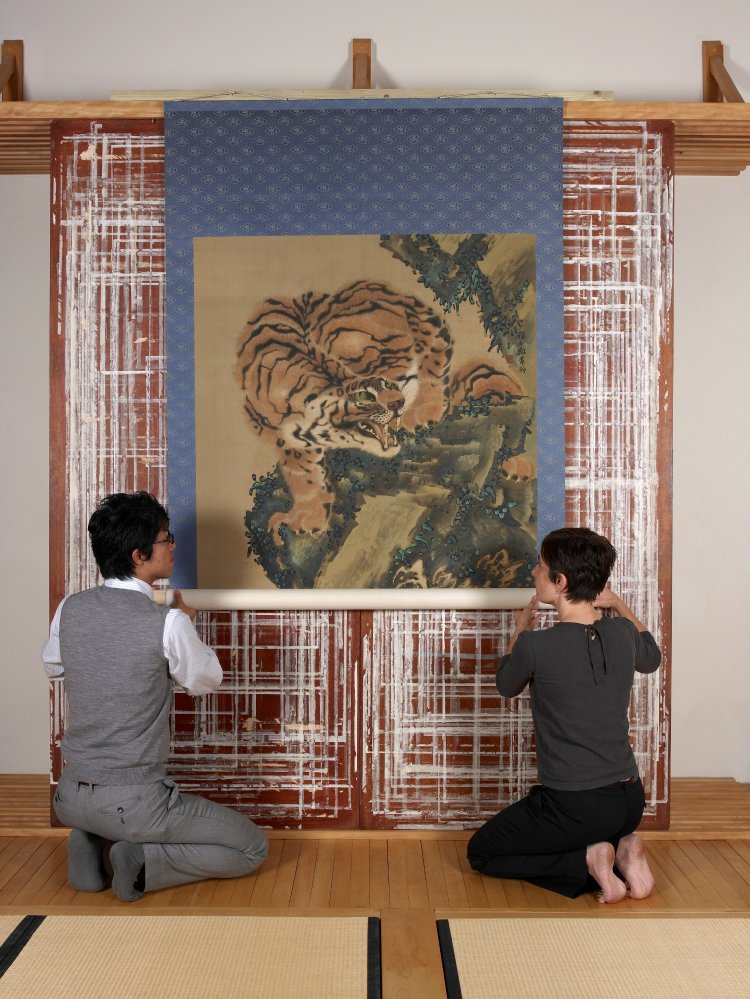 Image of a Tiger from the hanging scroll as it is being unfurled for display. Green eyed tiger with fangs visible.