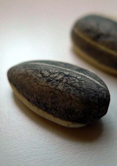 Detail of Weiwei's porcelain sunflower seeds.
