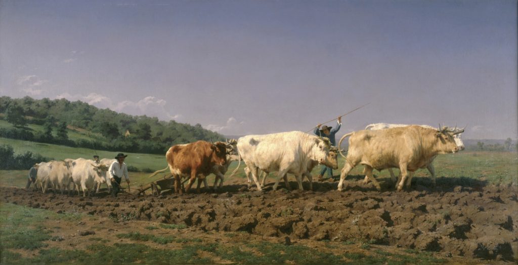 Painting of oxen ploughing the fields with farmers walking alongside.